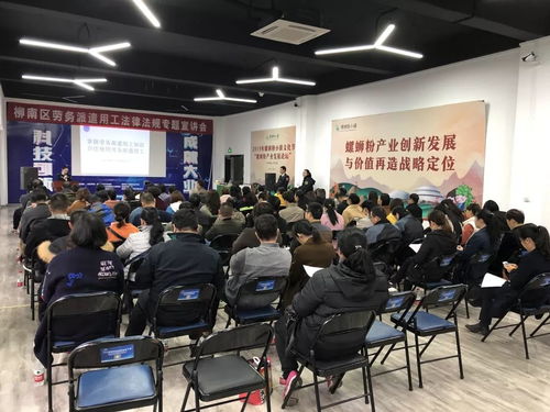 柳南區(qū)舉辦勞務(wù)派遣用工法律法規(guī)專題宣講會，助力互聯(lián)網(wǎng)信息服務(wù)行業(yè)規(guī)范發(fā)展