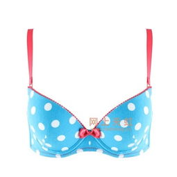 青色文胸芬怡內衣 價格、比價與產品評測