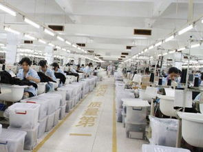 內衣廠家為何信賴波而朵 品質、創新與服務的三重保障