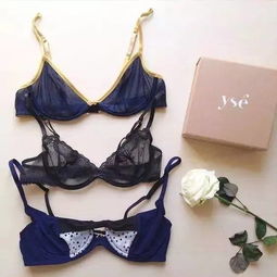 單品推薦 這幾個顏值逆天的內衣品牌，你都穿過嗎？